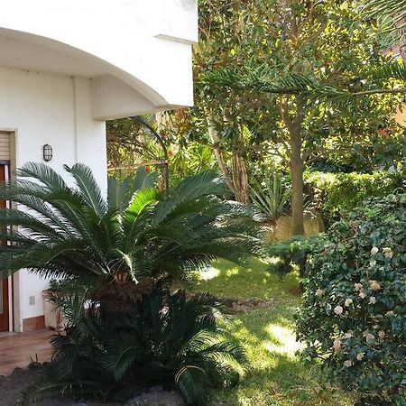 Giardino Mediterraneo Lacco Ameno  Kültér fotó