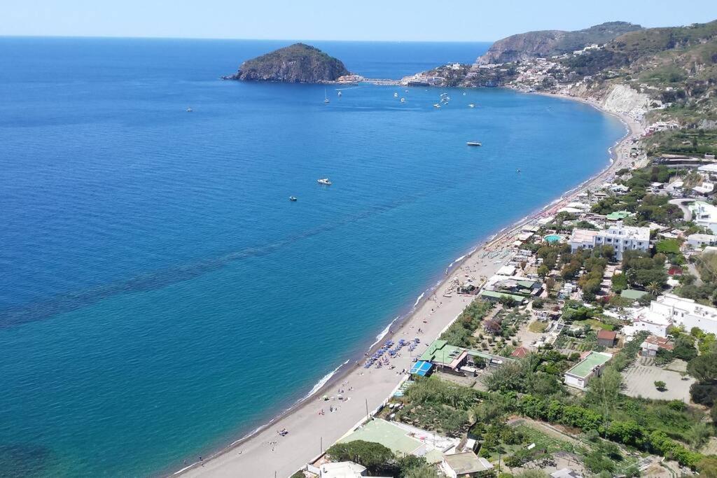 Giardino Mediterraneo Lacco Ameno  Kültér fotó
