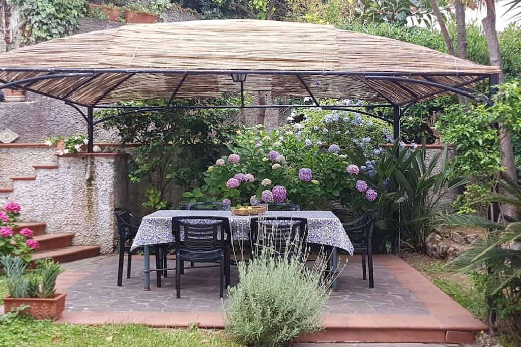 Giardino Mediterraneo Lacco Ameno  Kültér fotó
