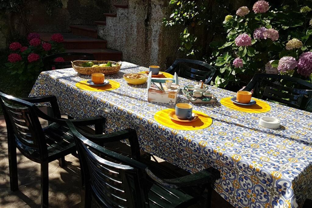 Giardino Mediterraneo Lacco Ameno  Kültér fotó