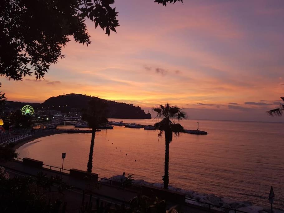 Giardino Mediterraneo Lacco Ameno  Kültér fotó