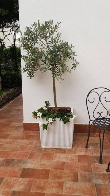 Giardino Mediterraneo Lacco Ameno  Kültér fotó