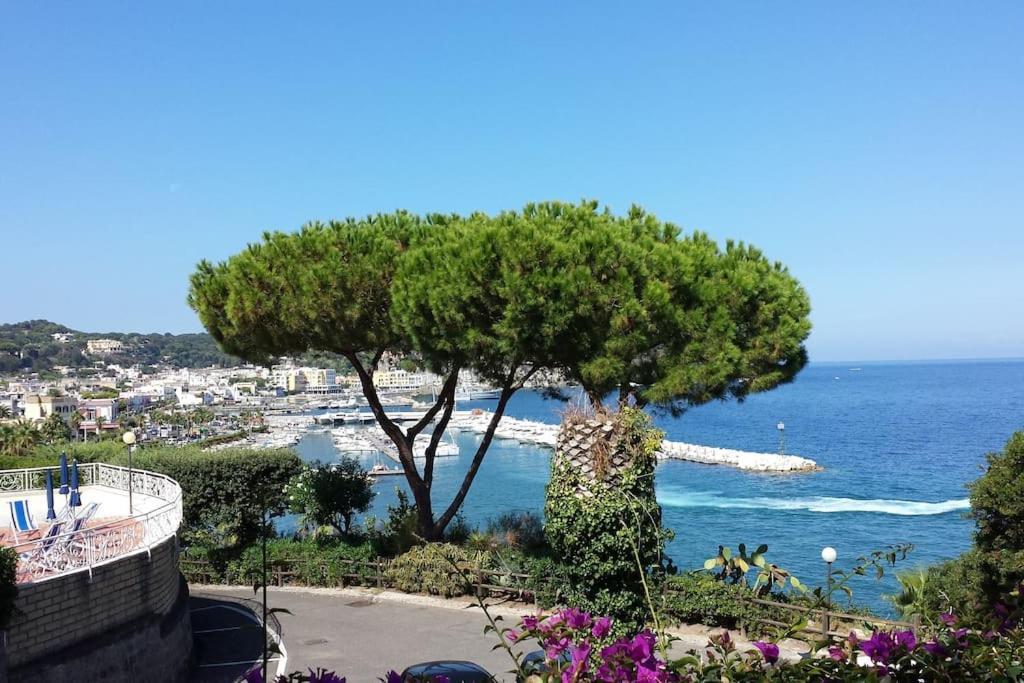 Giardino Mediterraneo Lacco Ameno  Kültér fotó