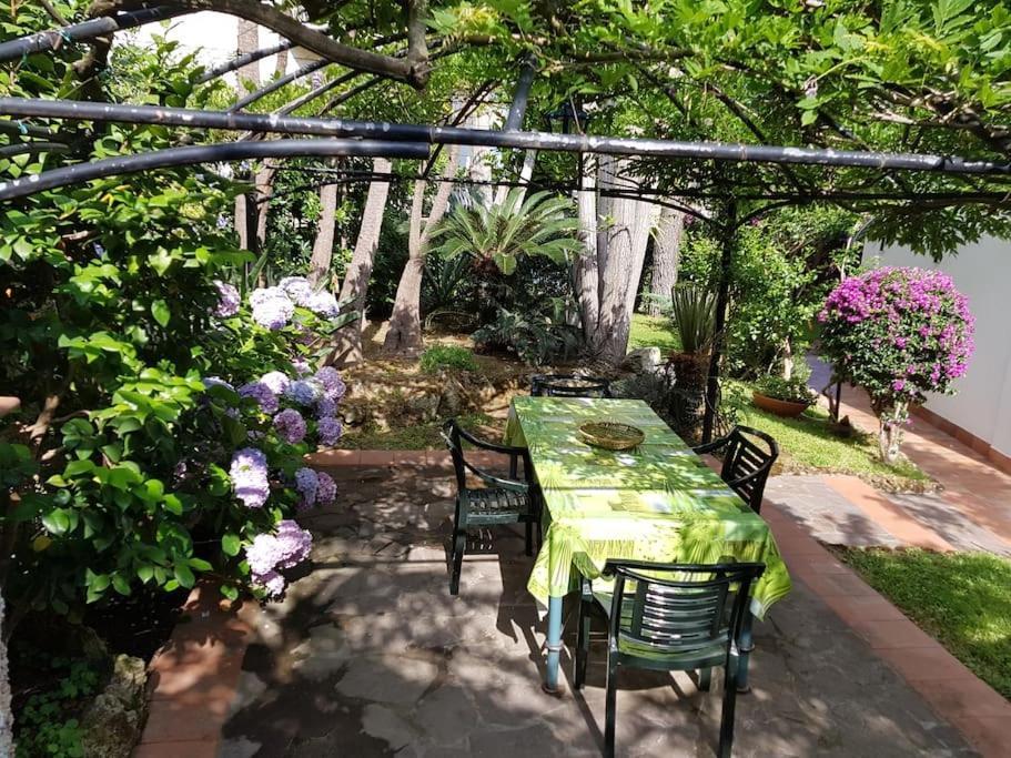 Giardino Mediterraneo Lacco Ameno  Kültér fotó