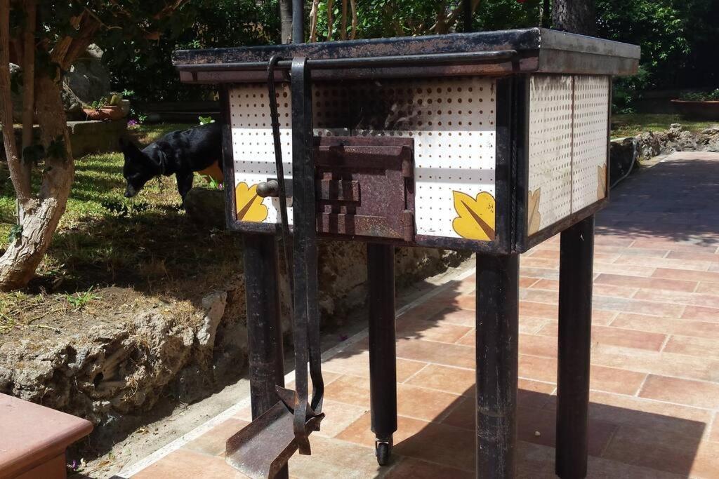 Giardino Mediterraneo Lacco Ameno  Kültér fotó