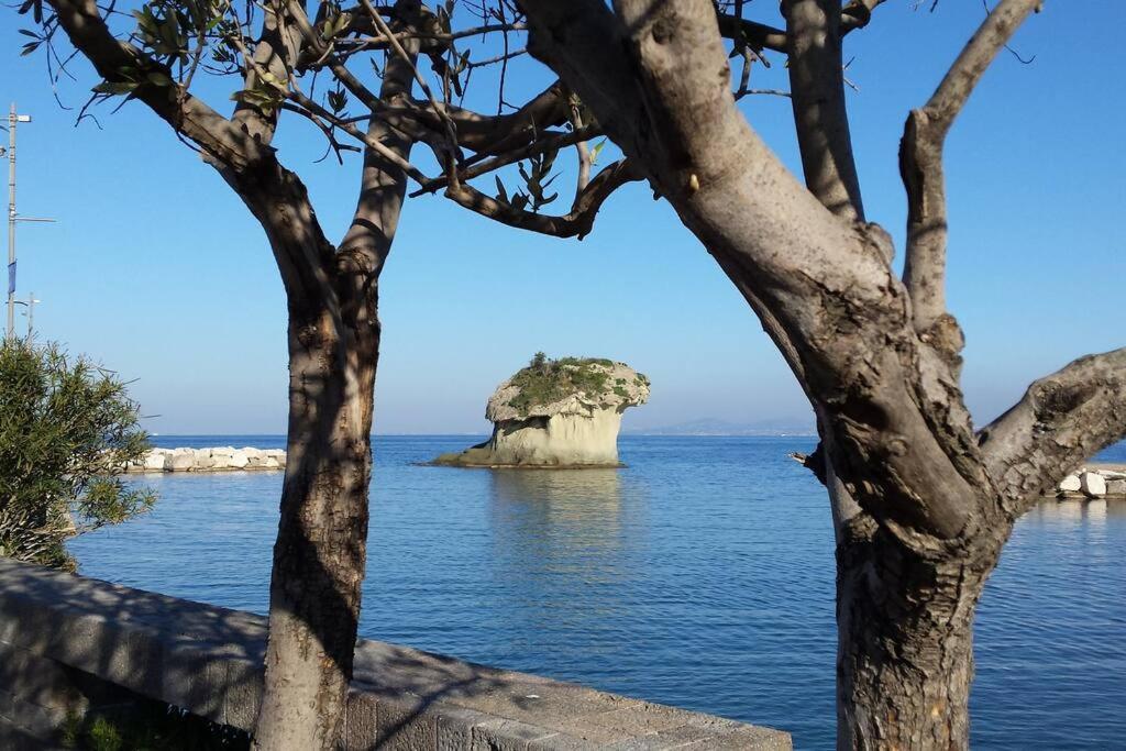 Giardino Mediterraneo Lacco Ameno  Kültér fotó