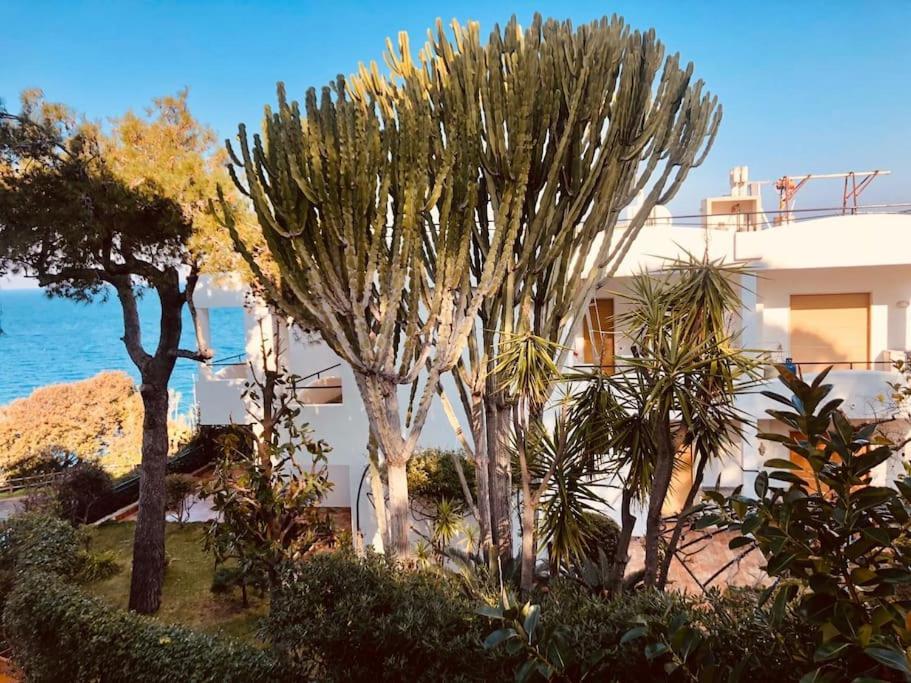 Giardino Mediterraneo Lacco Ameno  Kültér fotó