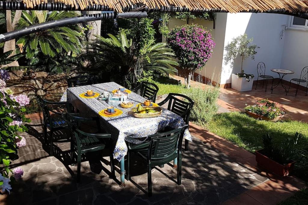 Giardino Mediterraneo Lacco Ameno  Kültér fotó