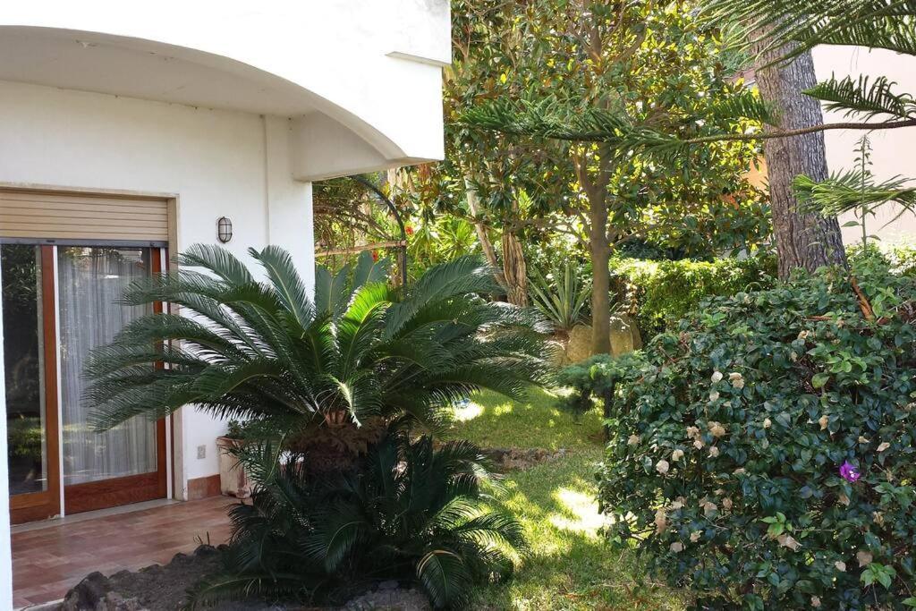Giardino Mediterraneo Lacco Ameno  Kültér fotó
