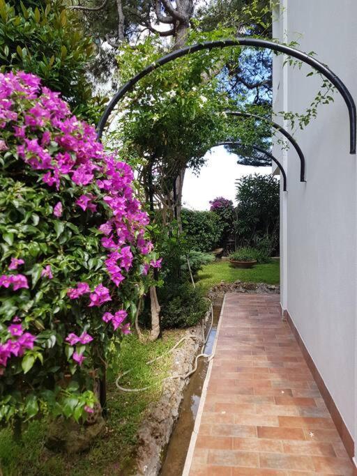 Giardino Mediterraneo Lacco Ameno  Kültér fotó