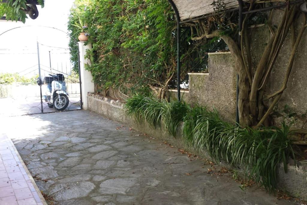 Giardino Mediterraneo Lacco Ameno  Kültér fotó